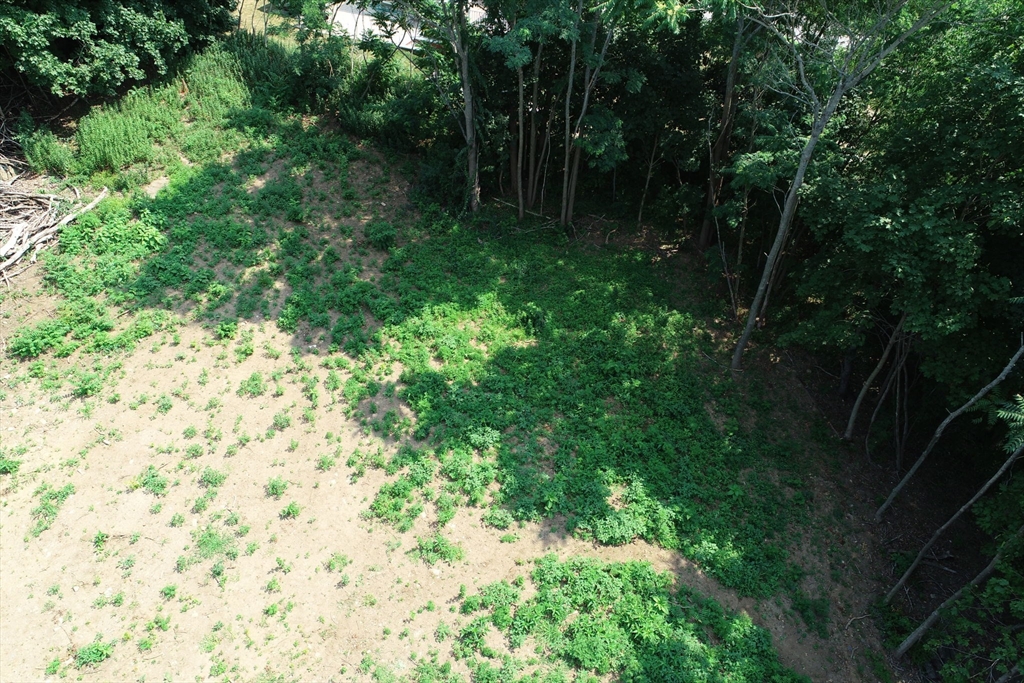 0 Lot 41 Map 10 Property Photo 13