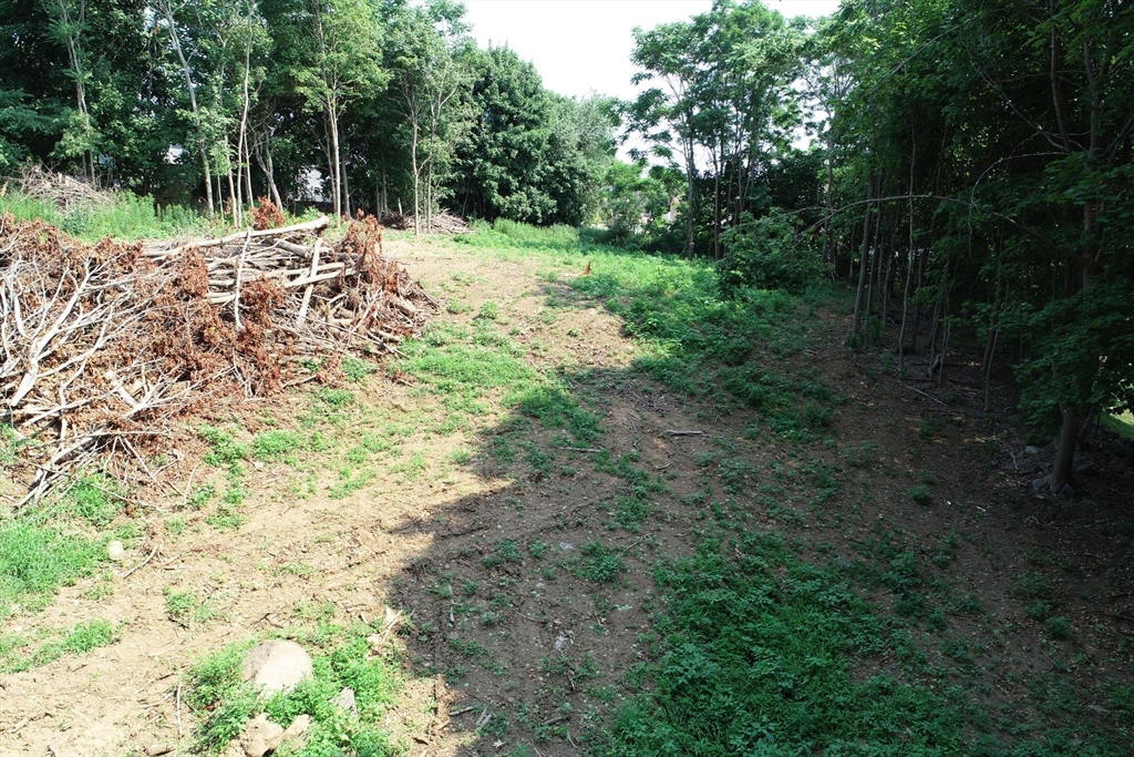 0 Lot 41 Map 10 Property Photo 15