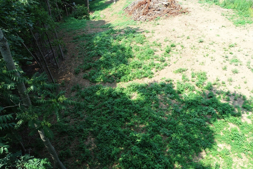 0 Lot 41 Map 10 Property Photo 17