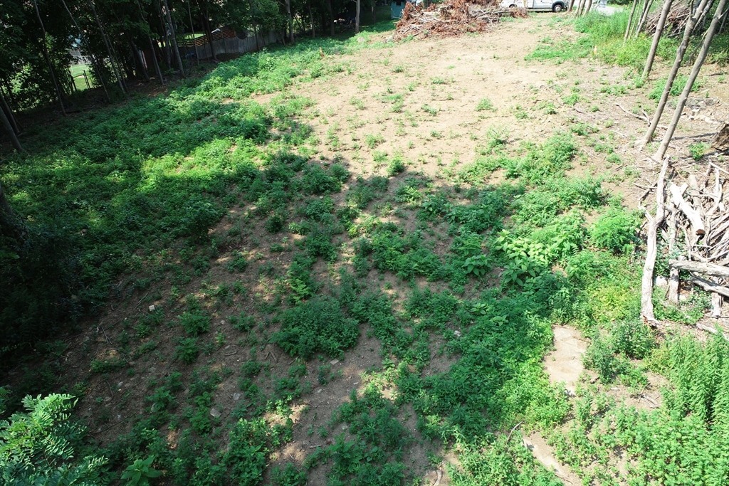 0 Lot 41 Map 10 Property Photo 19