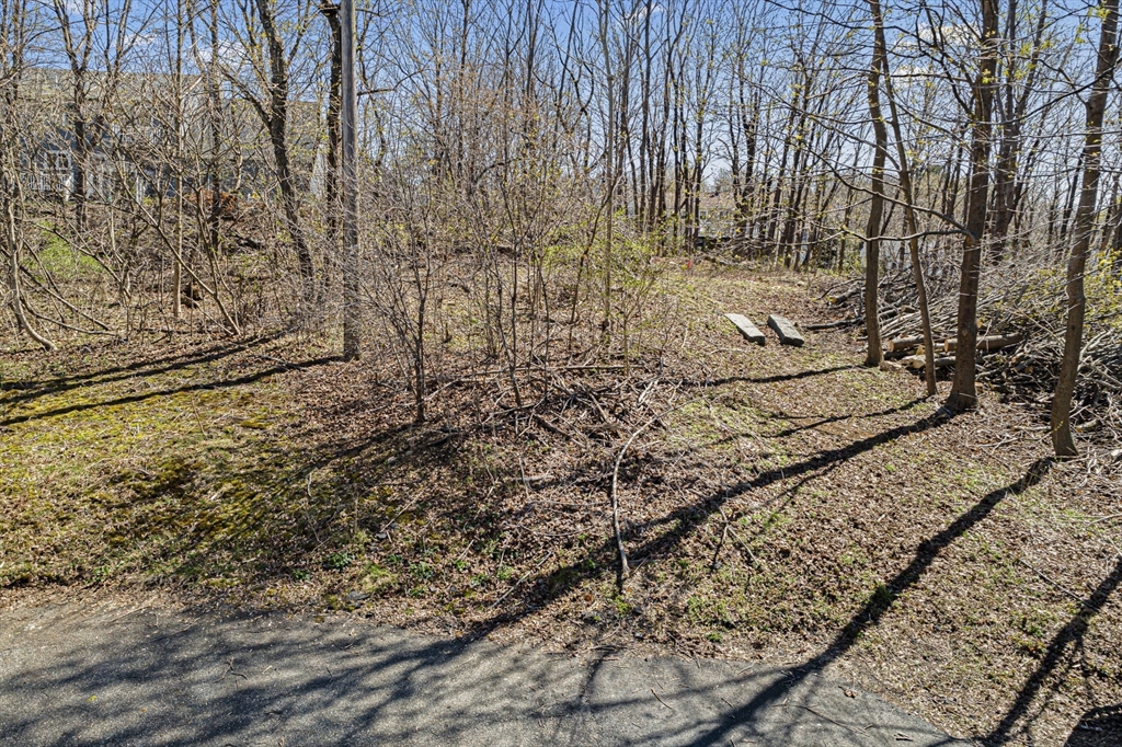 0 Lot 61 Map 10 Property Photo 3