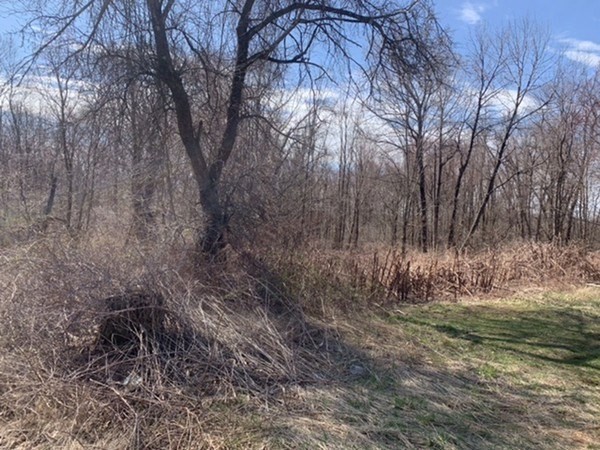 1212 Southbridge Rd Property Photo 11