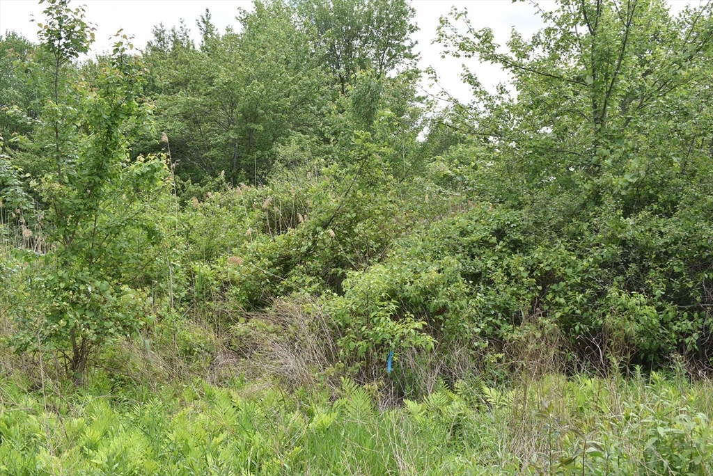 0 Broadway Property Photo 5