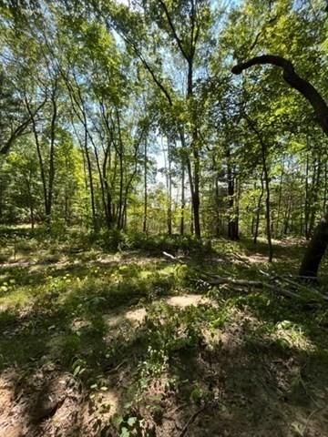 100 Forest Rd Property Photo 8