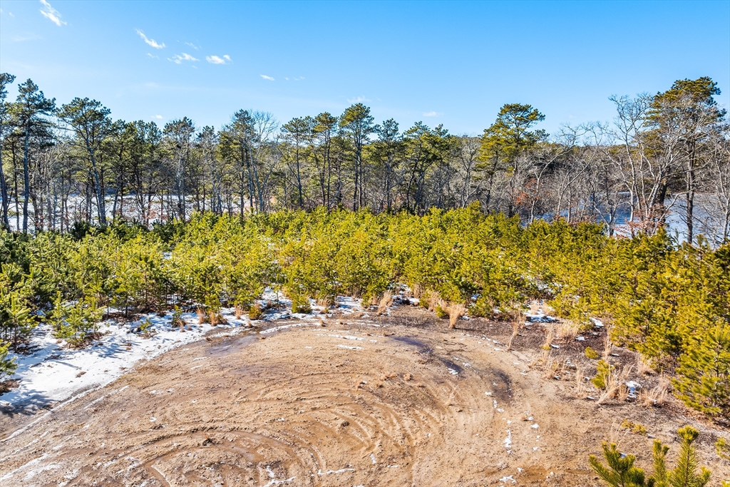 11 Perseverance Path Property Photo 7