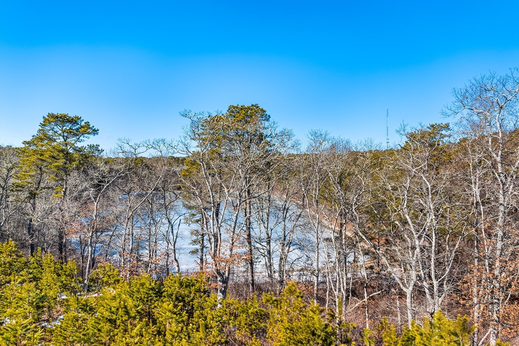11 Perseverance Path Property Photo 9