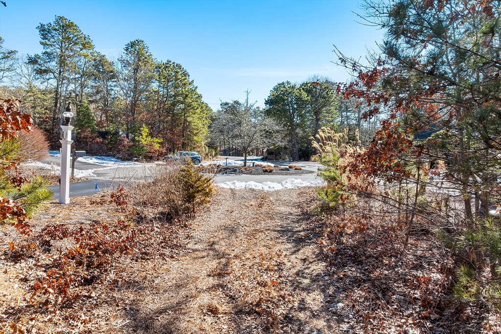 11 Perseverance Path Property Photo 15