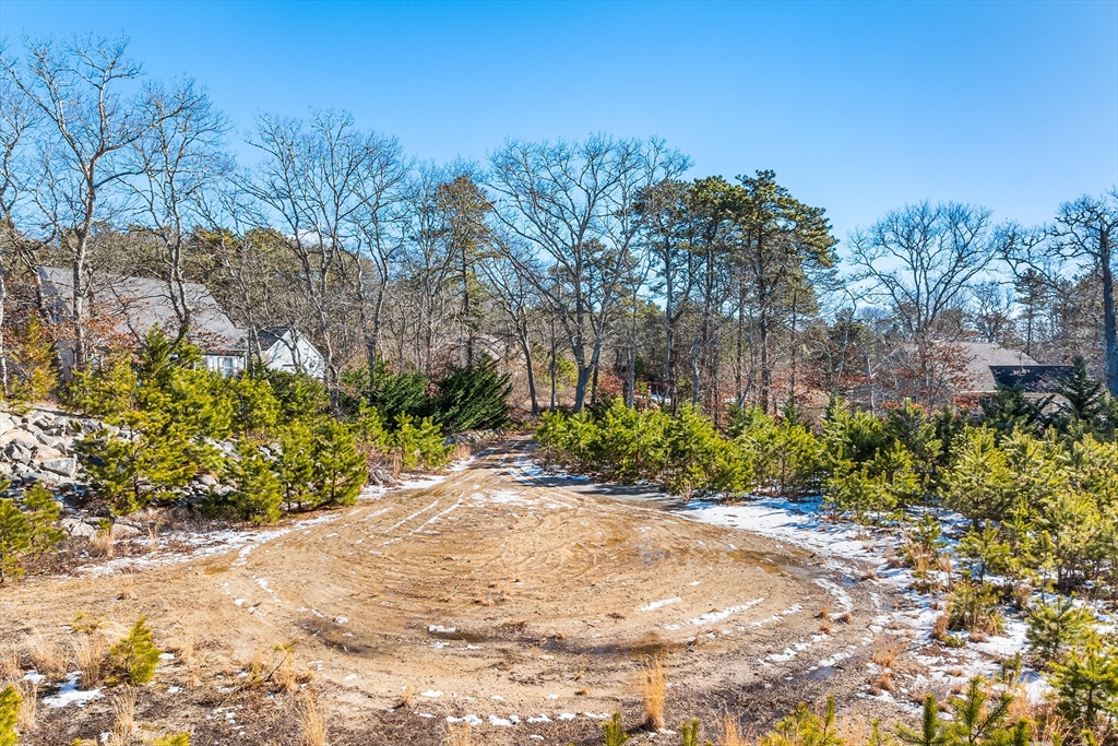 11 Perseverance Path Property Photo 16