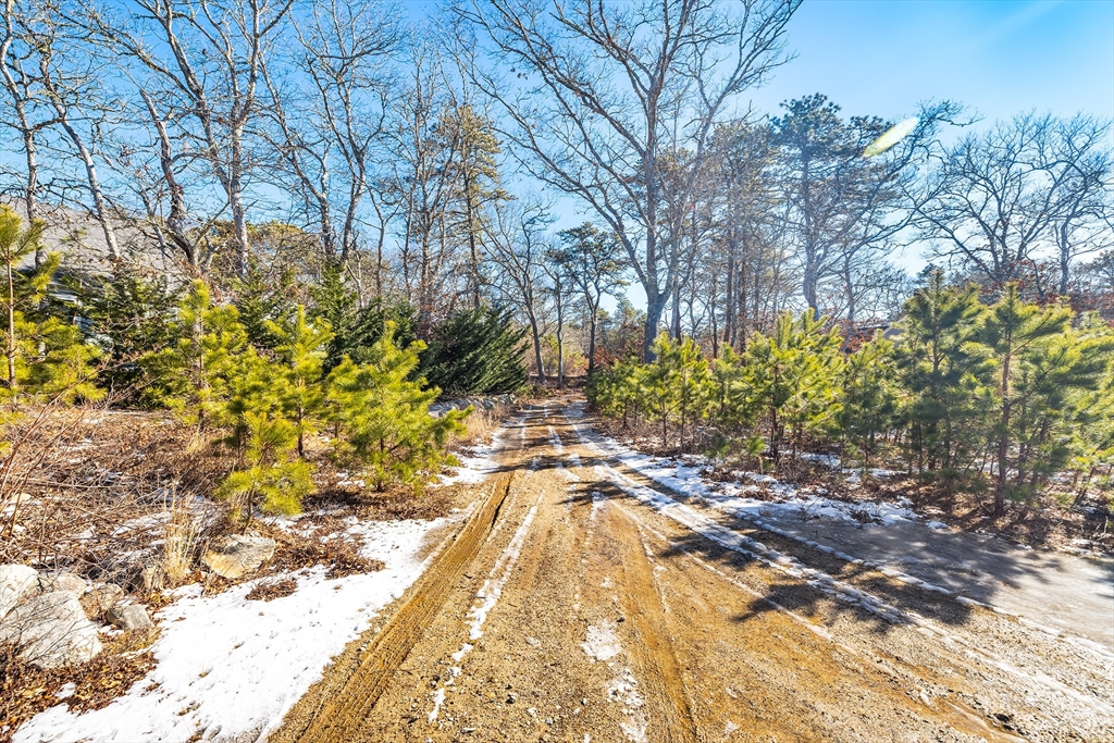 11 Perseverance Path Property Photo 29