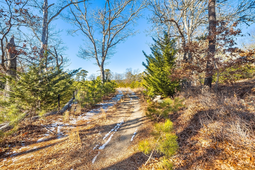 11 Perseverance Path Property Photo 33