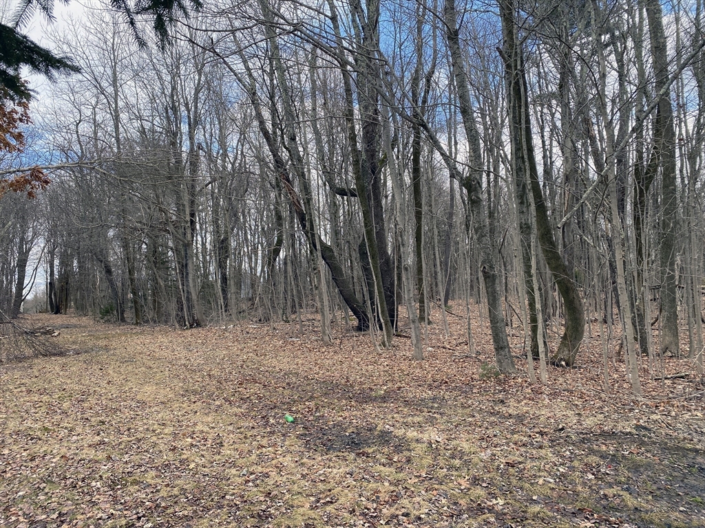 95 Maple Ave Property Photo 6