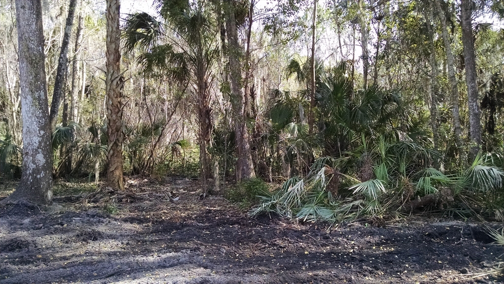 224 Mansion Blvd Property Photo 1