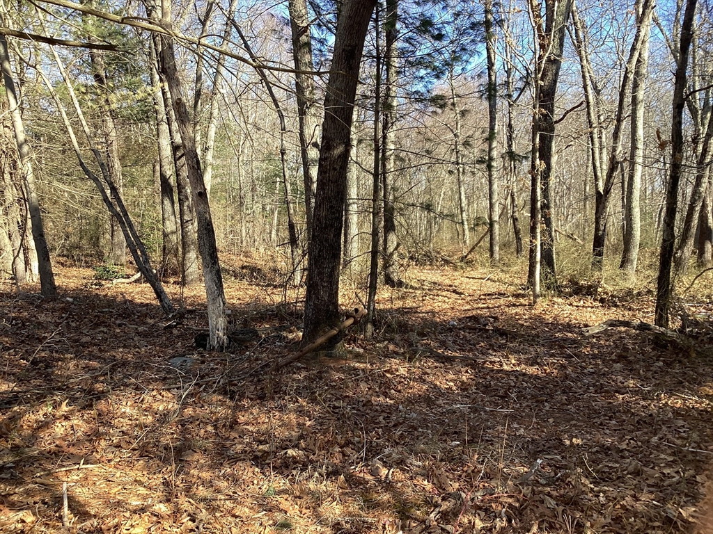0 Coleman Ave Property Photo 1