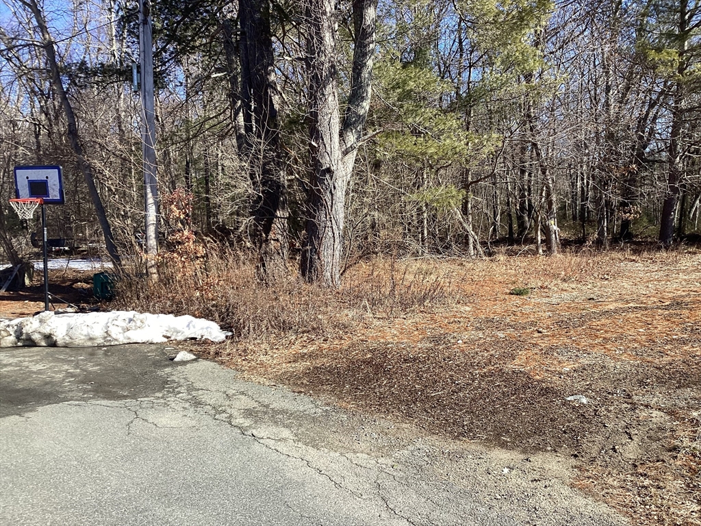 0 Coleman Ave Property Photo 3