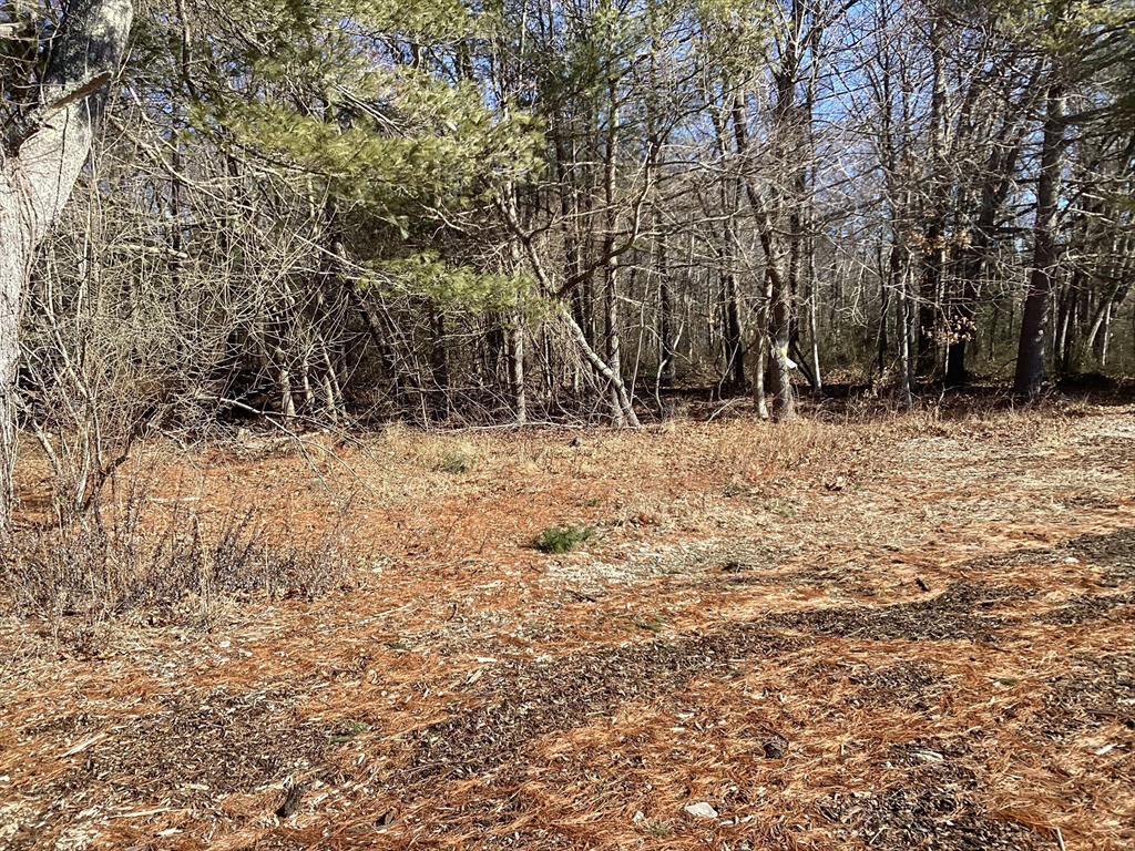 0 Coleman Ave Property Photo 5