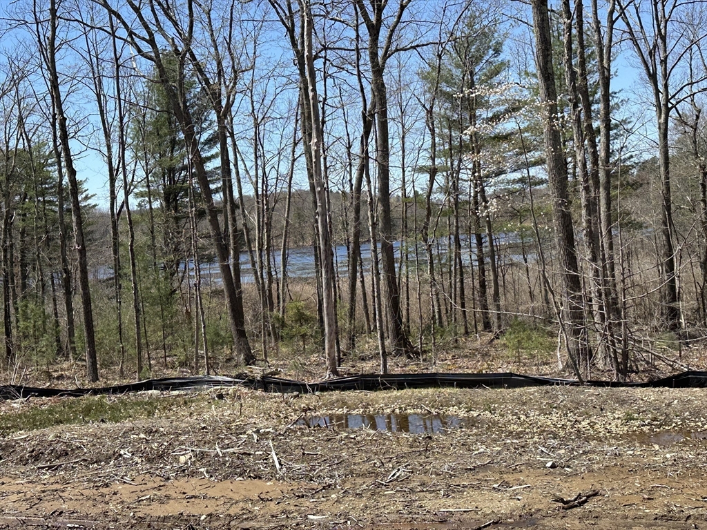 23 Miles Road Property Photo