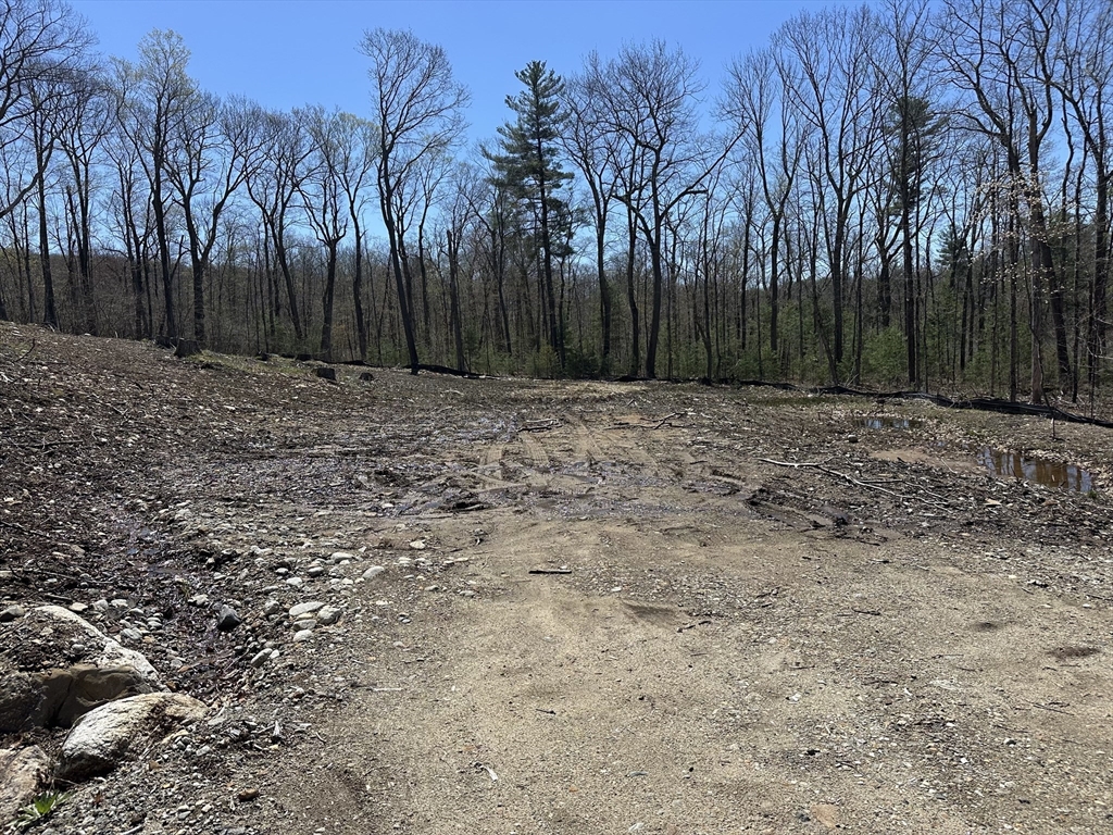 23 Miles Road Property Photo 2