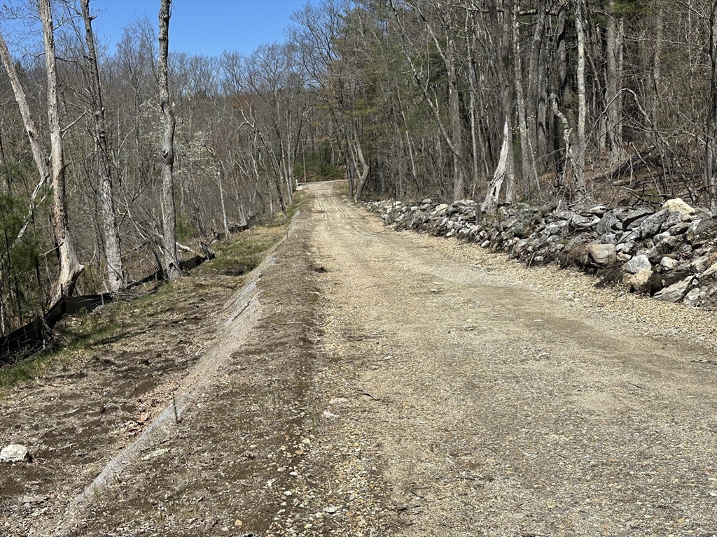 23 Miles Road Property Photo 4