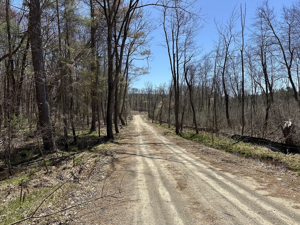 23 Miles Road Property Photo 5