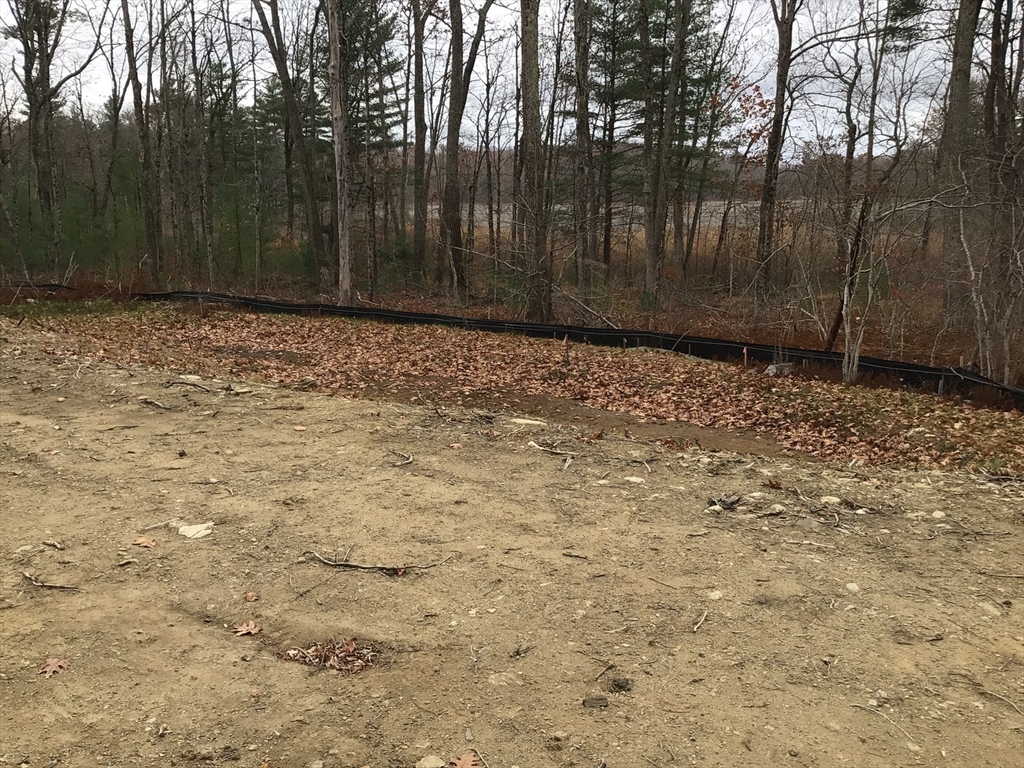 23 Miles Road Property Photo 6