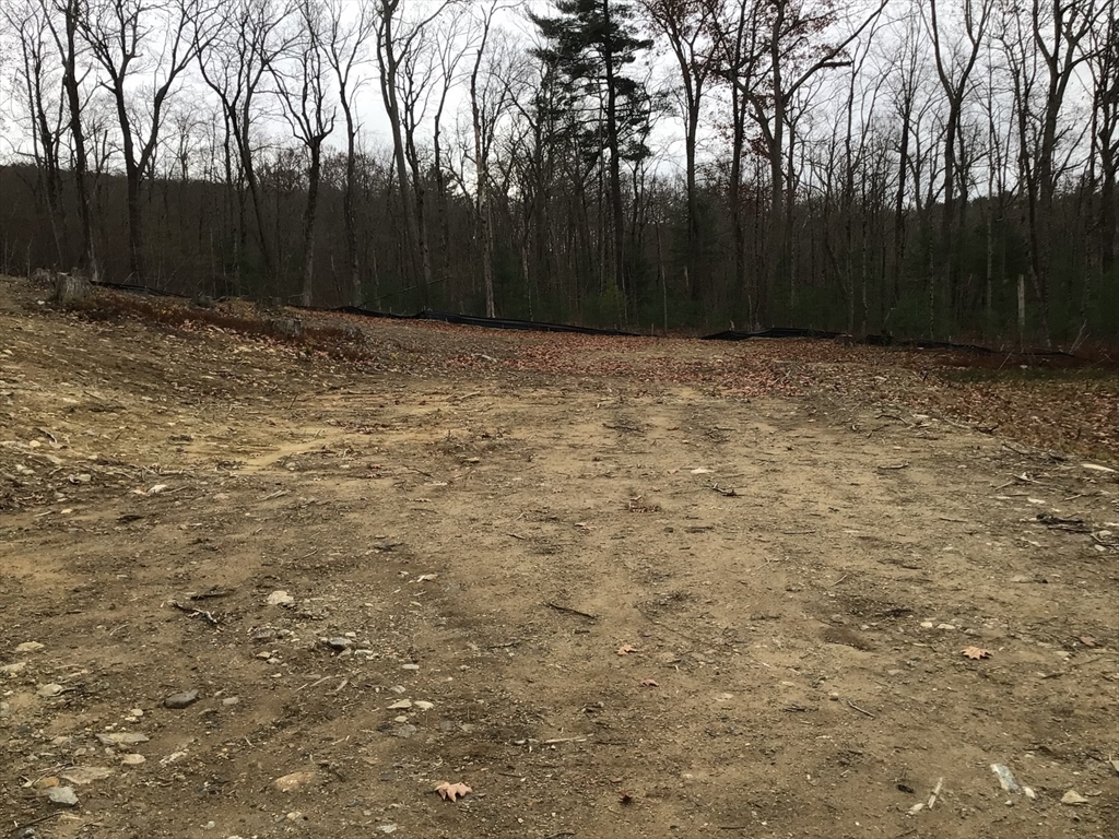 23 Miles Road Property Photo 8