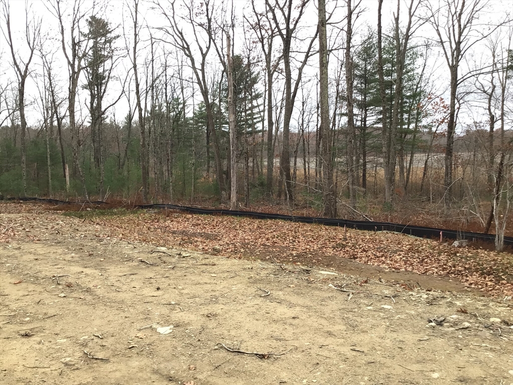 23 Miles Road Property Photo 9
