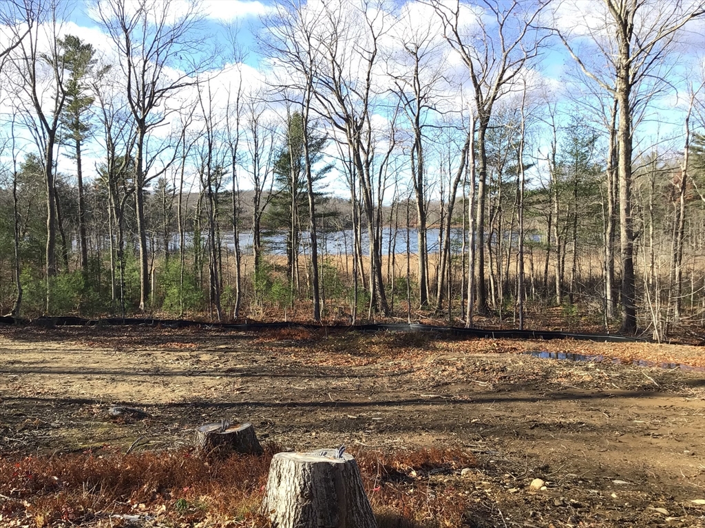 23 Miles Road Property Photo 10