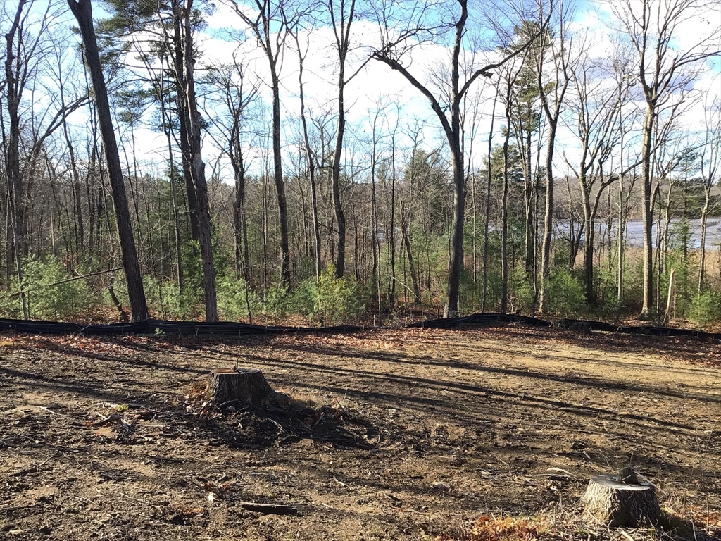 23 Miles Road Property Photo 11