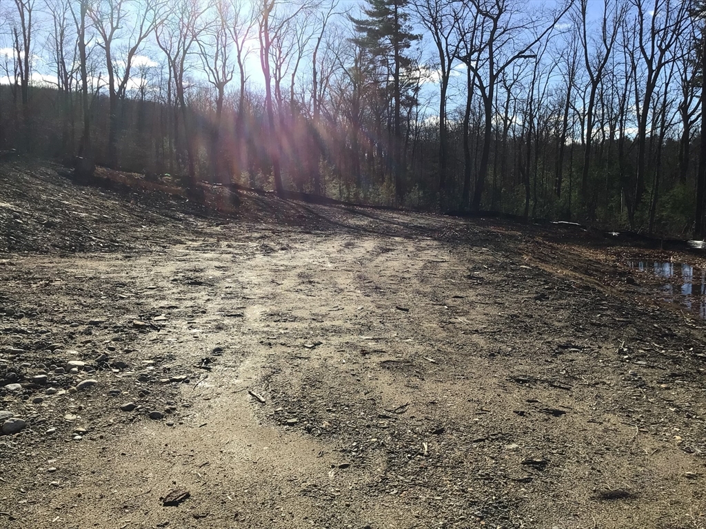 23 Miles Road Property Photo 13