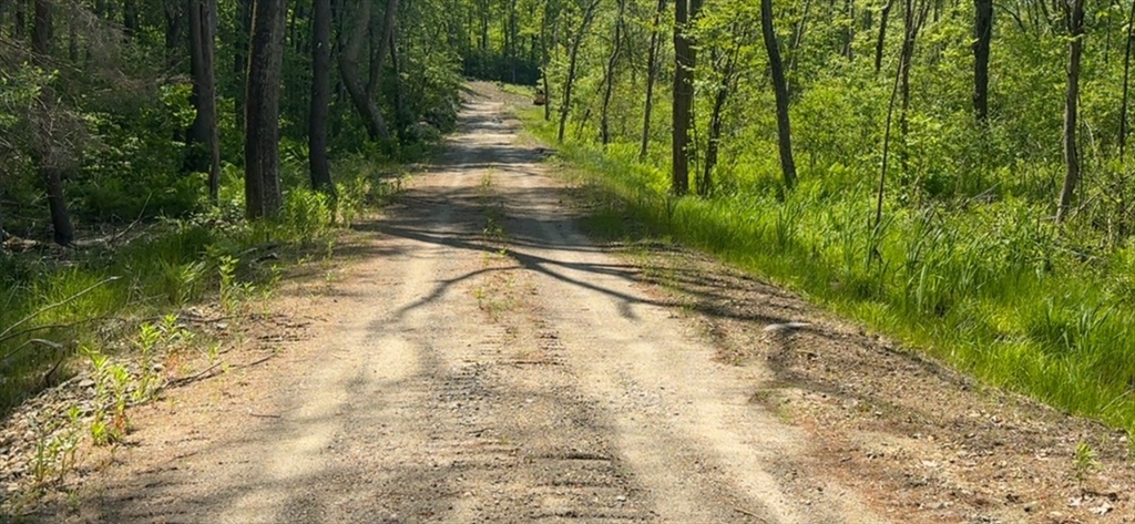 23 Miles Road Property Photo 30