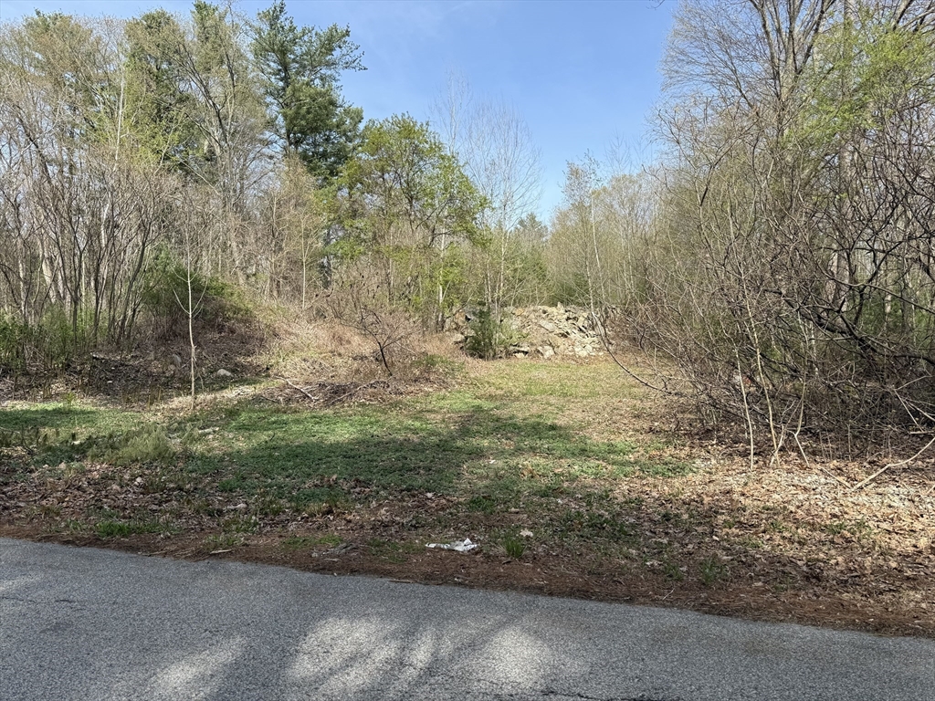 Lot 1 Mason Road Ext Property Photo 1