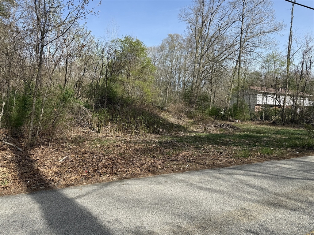 Lot 1 Mason Road Ext Property Photo 2