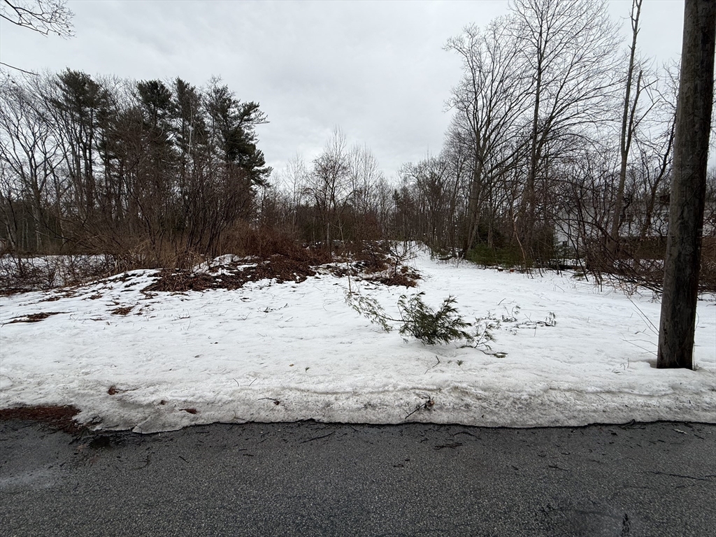 Lot 1 Mason Road Ext Property Photo 6