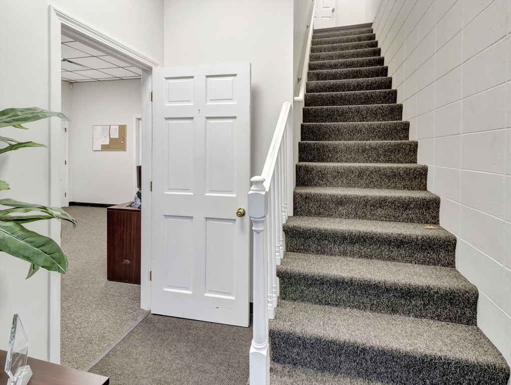9 Maynard St Property Photo 4