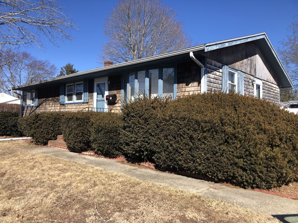 17 Hamlet Street Property Photo