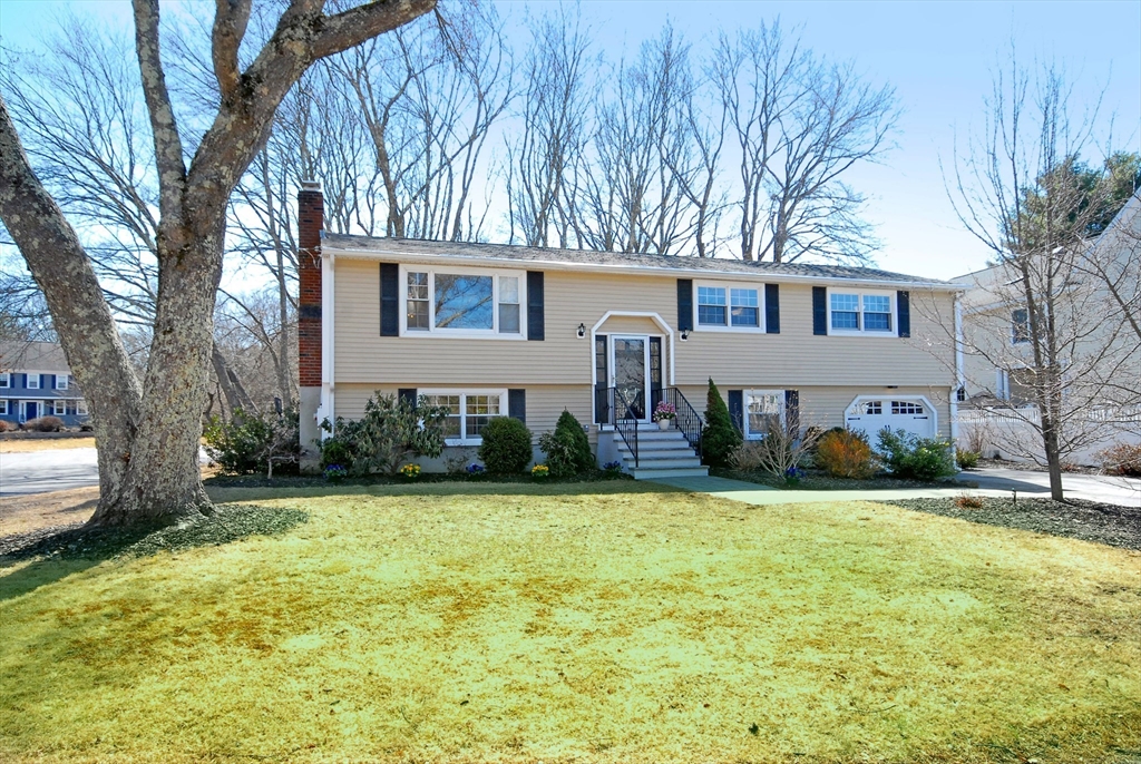 3 Young St Property Photo