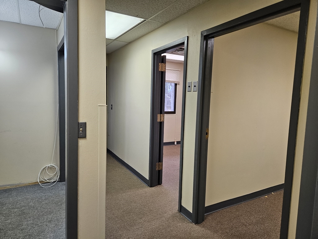 39.5 Birch Street # 3d Property Photo 14