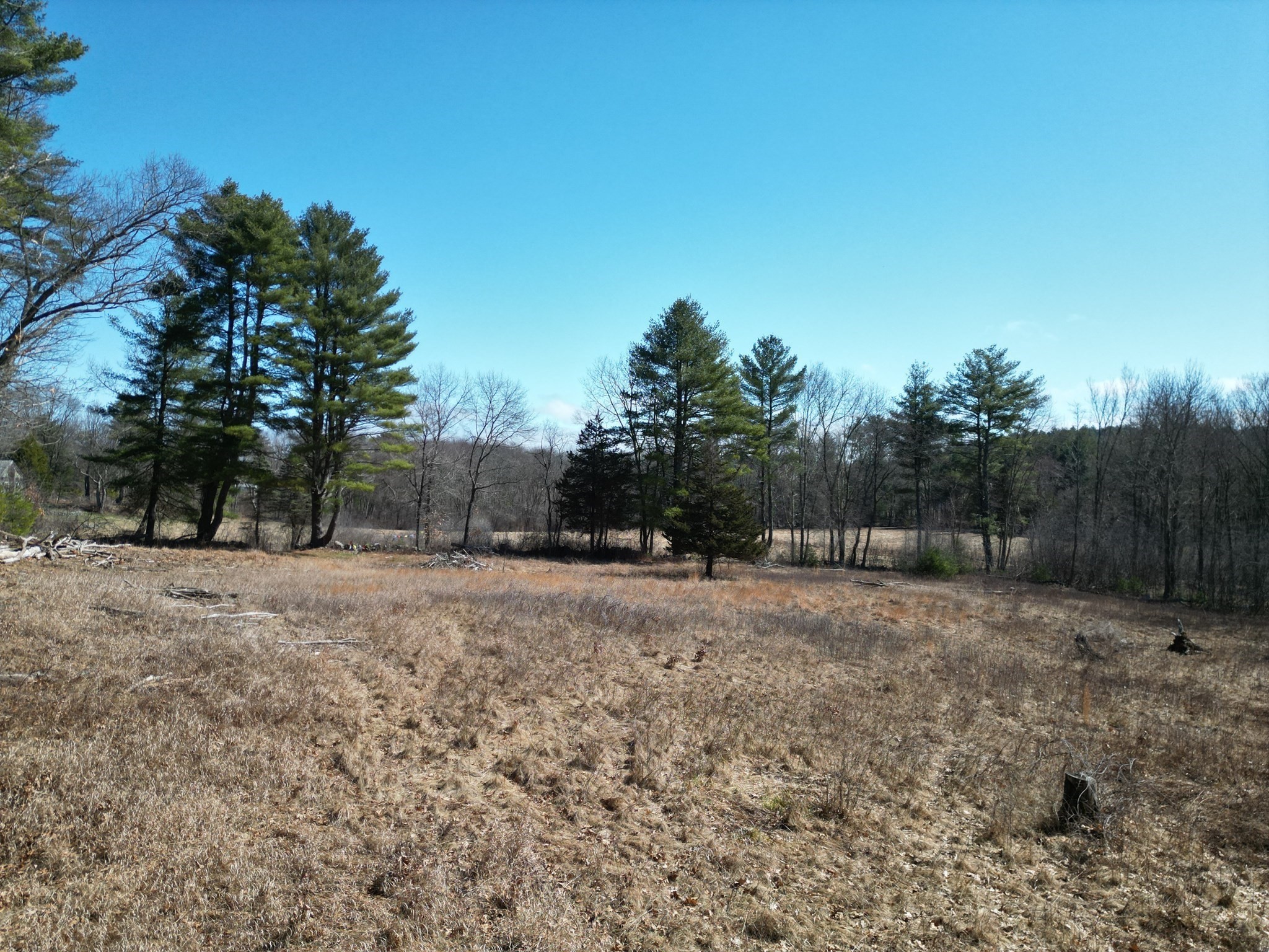 76-78 Daniels Road Property Photo 15