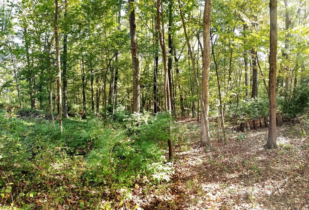 0 Red Gate Property Photo