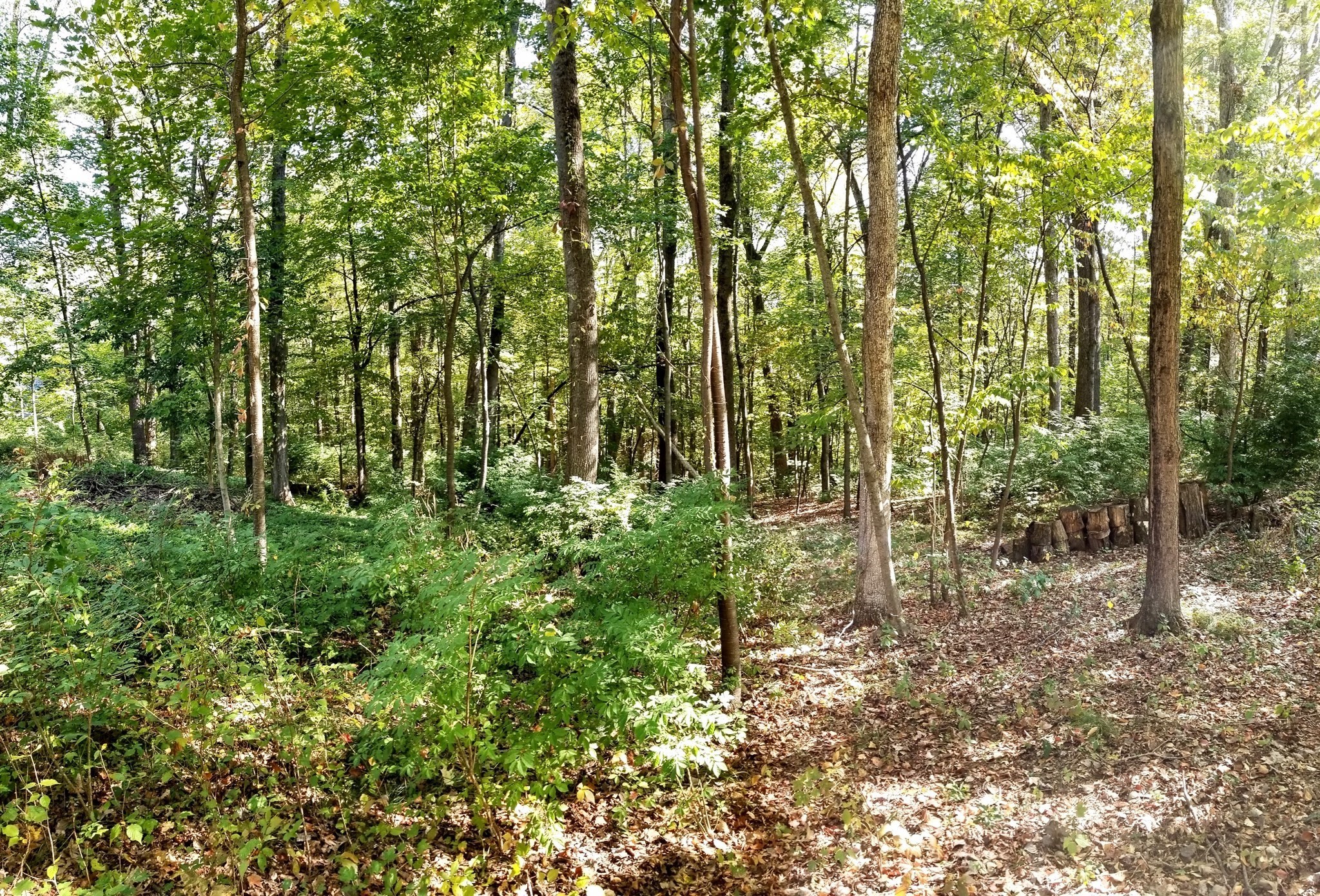 0 Red Gate Property Photo 1