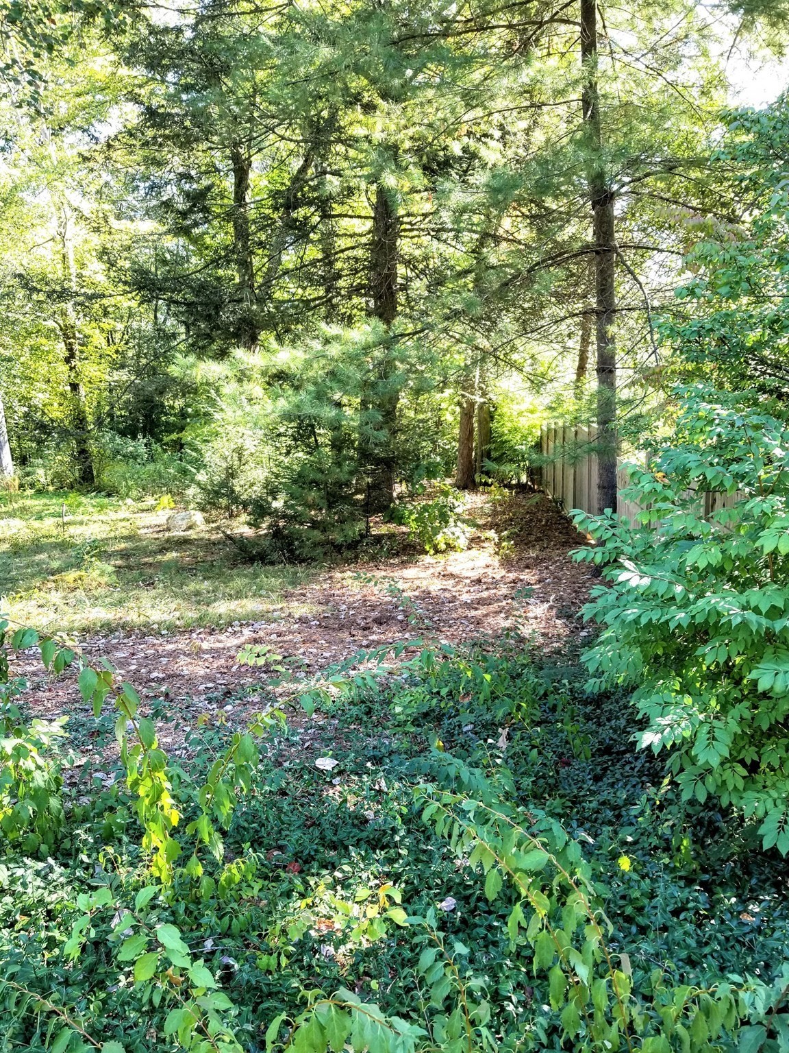 0 Red Gate Property Photo 3