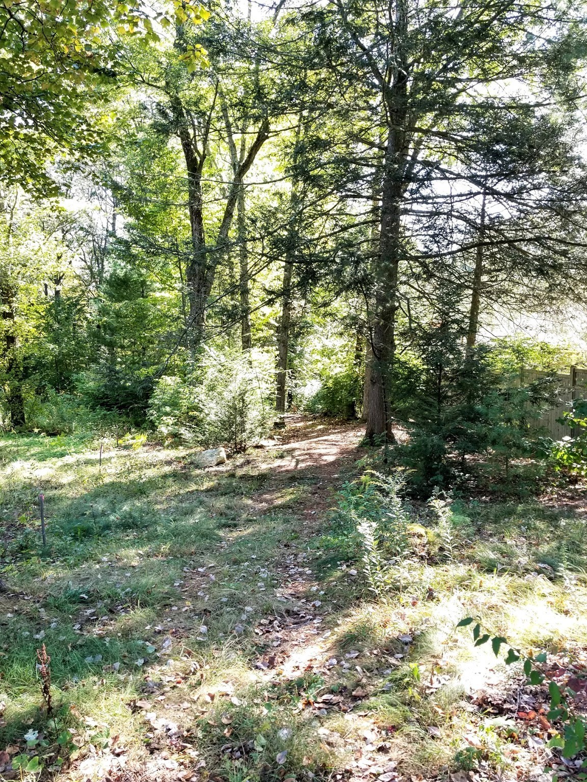0 Red Gate Property Photo 4