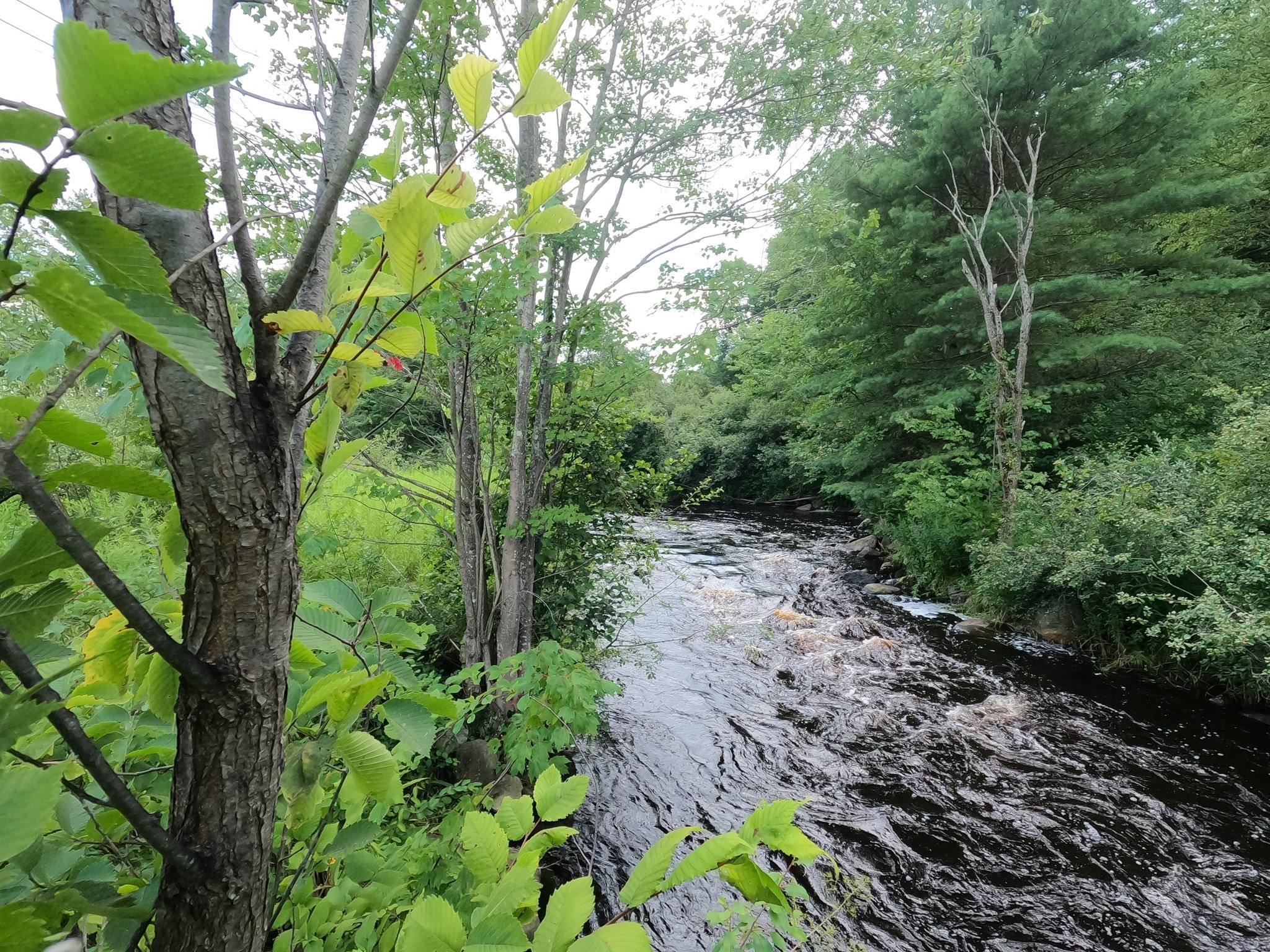 3 Lots Mill St