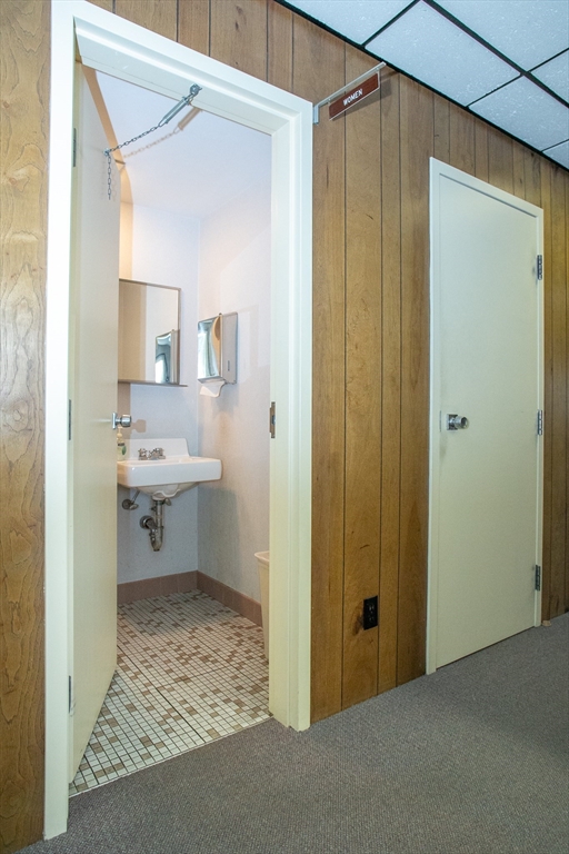41-43 Lennon St Property Photo 33