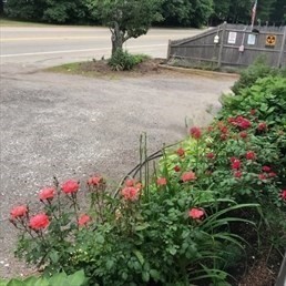 445 Plain Street Property Photo 33