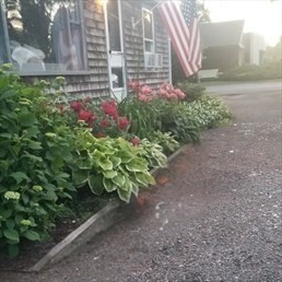 445 Plain Street Property Photo 34