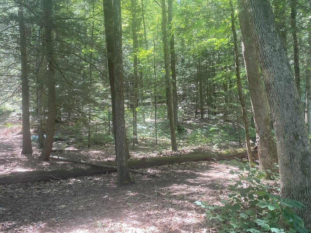 Lot 69 Federal St Property Photo 1