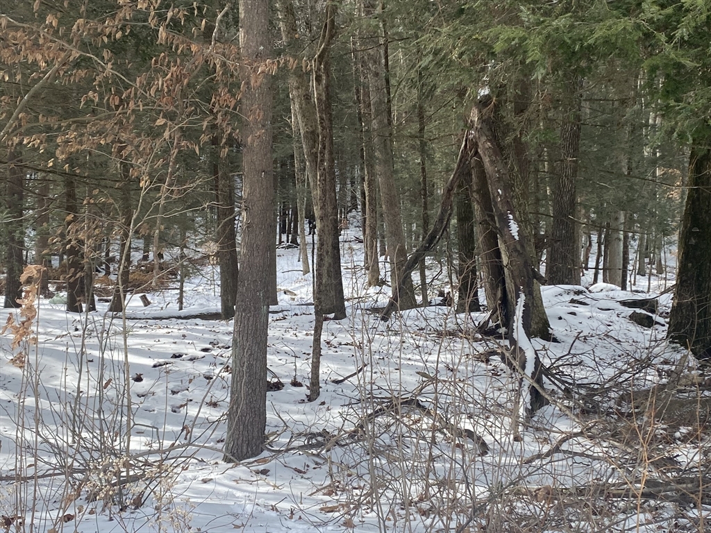 Lot 69 Federal St Property Photo 3