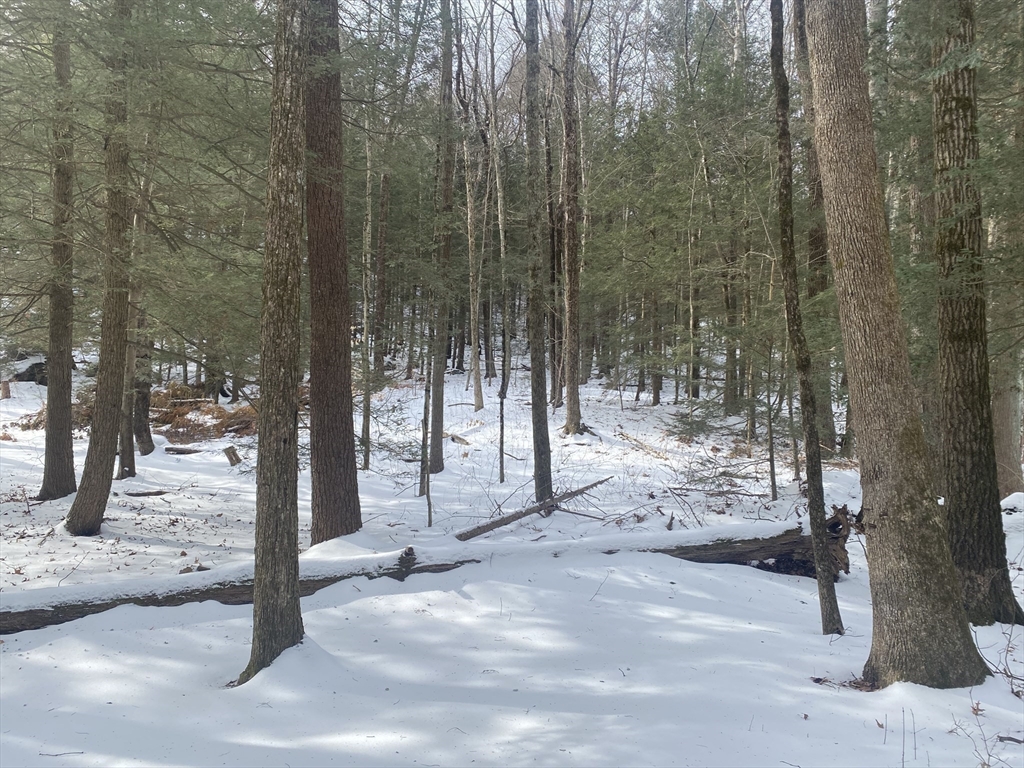 Lot 69 Federal St Property Photo 4