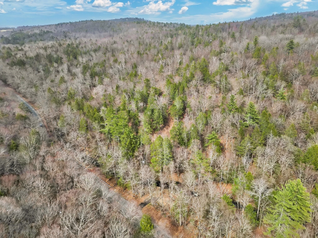 0 Skyline Trail Property Photo 3